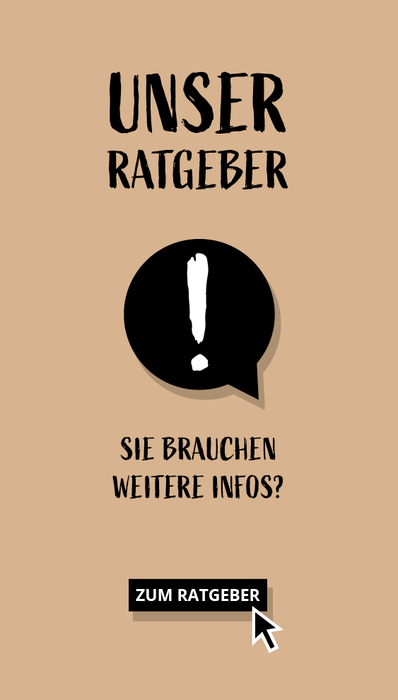 Ratgeber Dachfenster